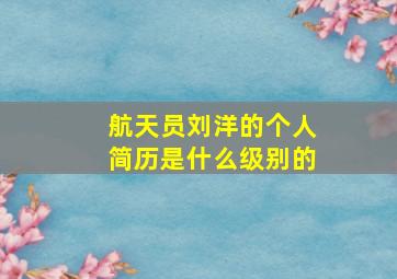 航天员刘洋的个人简历是什么级别的