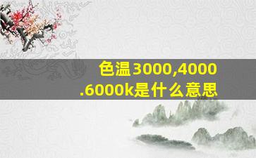 色温3000,4000.6000k是什么意思