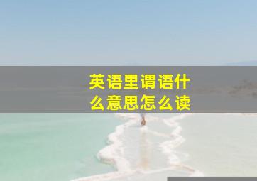 英语里谓语什么意思怎么读