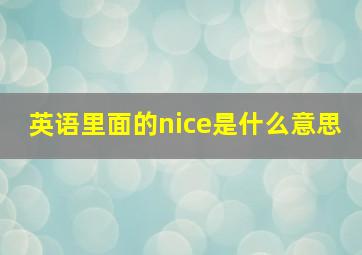 英语里面的nice是什么意思