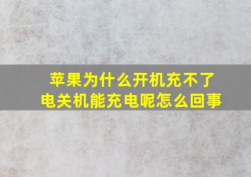 苹果为什么开机充不了电关机能充电呢怎么回事