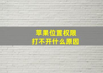 苹果位置权限打不开什么原因