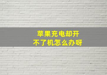 苹果充电却开不了机怎么办呀