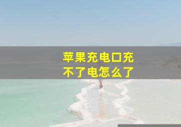 苹果充电口充不了电怎么了