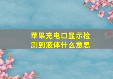 苹果充电口显示检测到液体什么意思