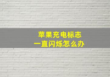 苹果充电标志一直闪烁怎么办