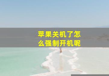 苹果关机了怎么强制开机呢