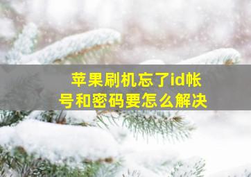 苹果刷机忘了id帐号和密码要怎么解决