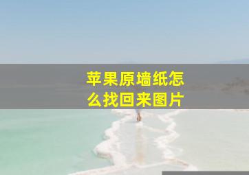 苹果原墙纸怎么找回来图片