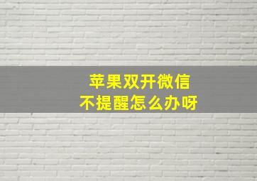 苹果双开微信不提醒怎么办呀