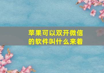 苹果可以双开微信的软件叫什么来着