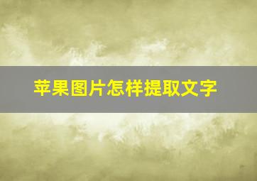 苹果图片怎样提取文字