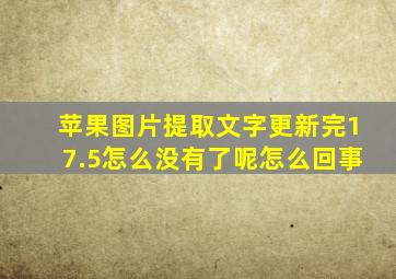 苹果图片提取文字更新完17.5怎么没有了呢怎么回事