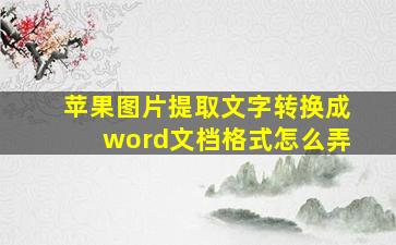 苹果图片提取文字转换成word文档格式怎么弄