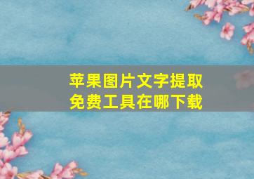 苹果图片文字提取免费工具在哪下载