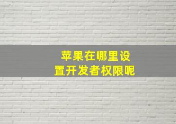 苹果在哪里设置开发者权限呢