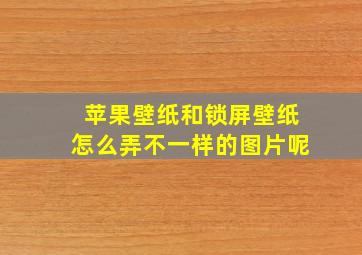 苹果壁纸和锁屏壁纸怎么弄不一样的图片呢