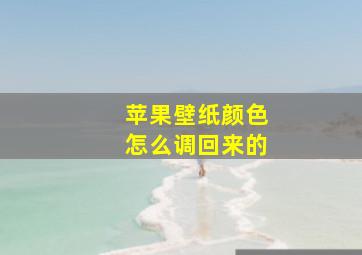 苹果壁纸颜色怎么调回来的