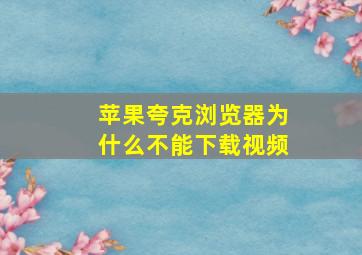 苹果夸克浏览器为什么不能下载视频