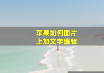 苹果如何图片上加文字编辑