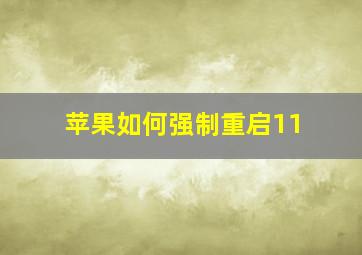 苹果如何强制重启11