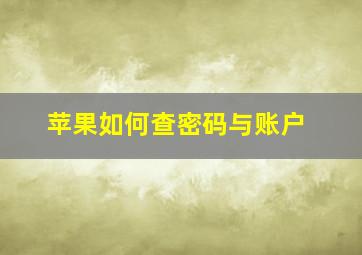 苹果如何查密码与账户