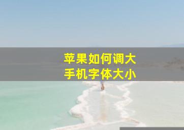 苹果如何调大手机字体大小