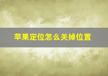 苹果定位怎么关掉位置