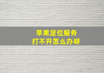 苹果定位服务打不开怎么办呀