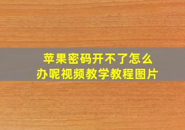 苹果密码开不了怎么办呢视频教学教程图片