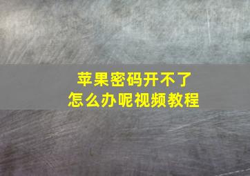 苹果密码开不了怎么办呢视频教程