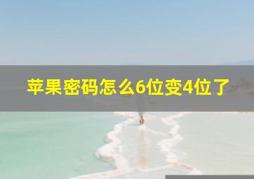 苹果密码怎么6位变4位了