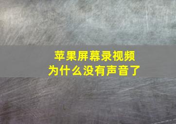 苹果屏幕录视频为什么没有声音了