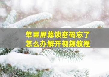 苹果屏幕锁密码忘了怎么办解开视频教程