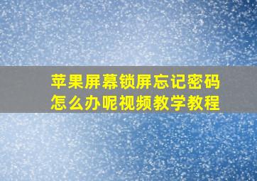 苹果屏幕锁屏忘记密码怎么办呢视频教学教程