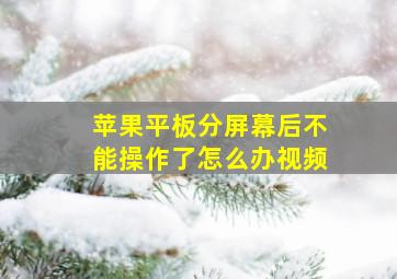 苹果平板分屏幕后不能操作了怎么办视频