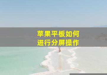 苹果平板如何进行分屏操作