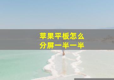 苹果平板怎么分屏一半一半