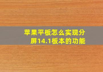 苹果平板怎么实现分屏14.1板本的功能