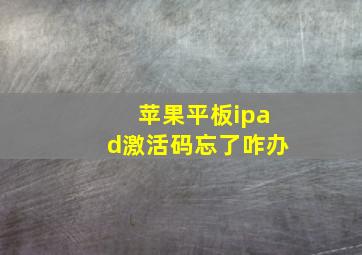 苹果平板ipad激活码忘了咋办