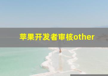 苹果开发者审核other