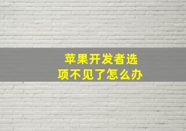 苹果开发者选项不见了怎么办