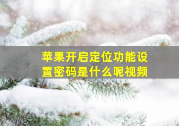 苹果开启定位功能设置密码是什么呢视频