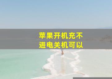 苹果开机充不进电关机可以