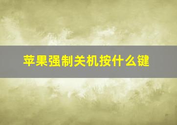 苹果强制关机按什么键