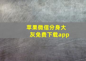 苹果微信分身大灰免费下载app