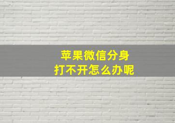 苹果微信分身打不开怎么办呢