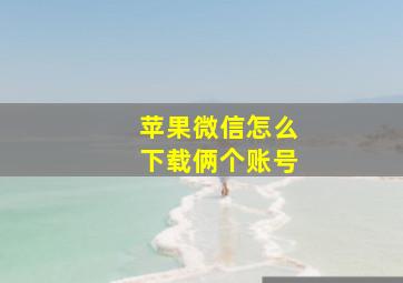 苹果微信怎么下载俩个账号