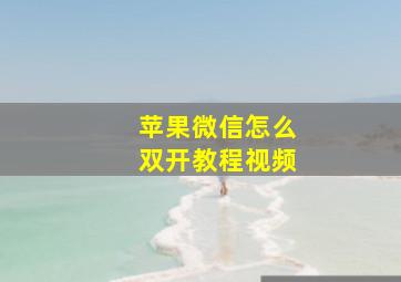 苹果微信怎么双开教程视频