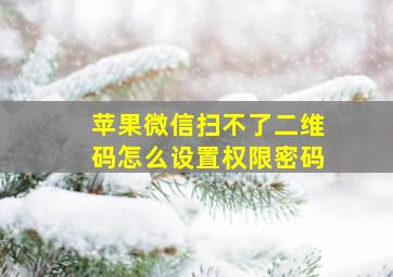 苹果微信扫不了二维码怎么设置权限密码